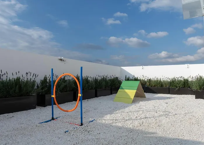 Espectacular Loft Centrico Gym Terraza En Roof